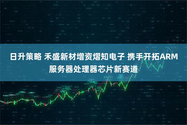 日升策略 禾盛新材增资熠知电子 携手开拓ARM服务器处理器芯片新赛道