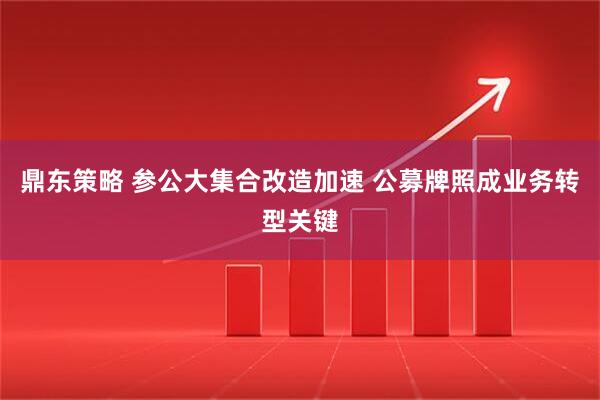 鼎东策略 参公大集合改造加速 公募牌照成业务转型关键
