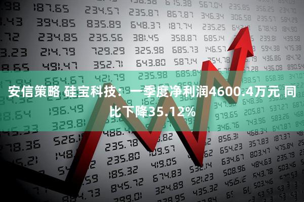 安信策略 硅宝科技：一季度净利润4600.4万元 同比下降35.12%